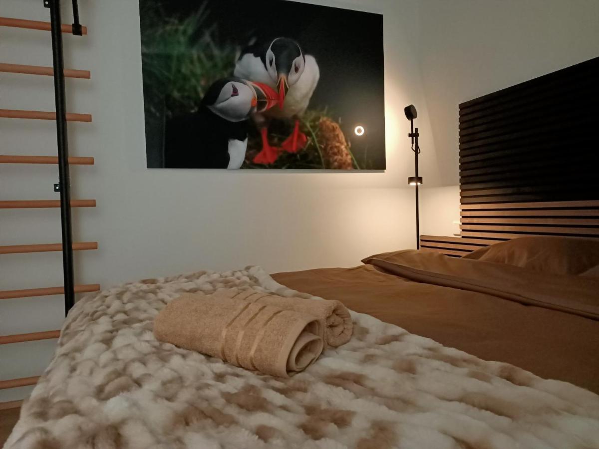 Puffin Nest, Superior Apartment Рейкявик Екстериор снимка